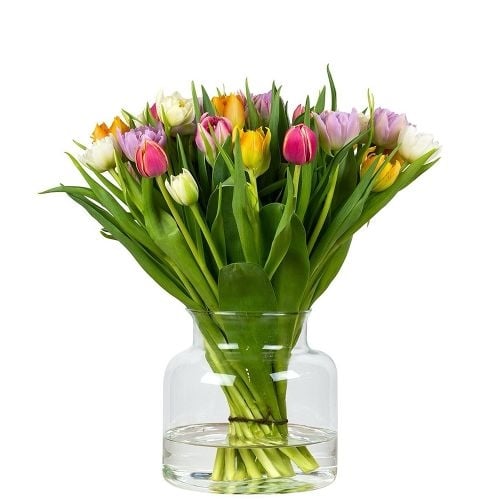 Luxurious mixed double tulips (Small)