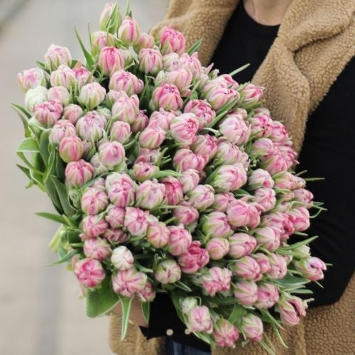 Large bunch of pink double tulips XL (Small)