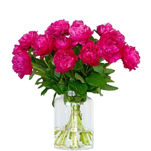 Purple peonies (Small)
