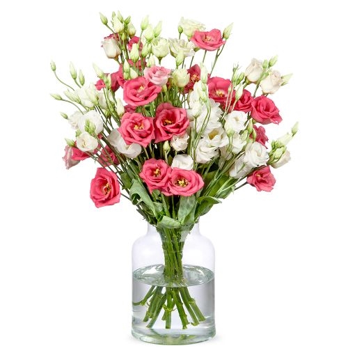 Bouquet Colette (Small)