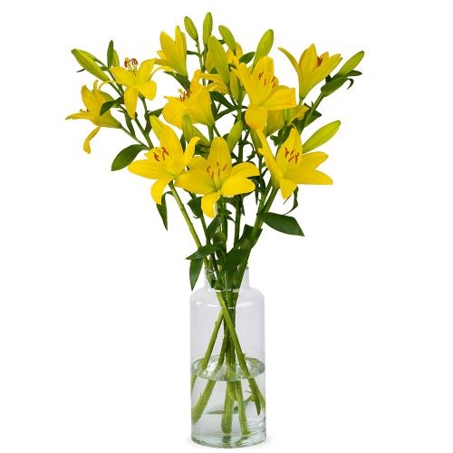 Lilies - Yellow Lilies (Small)