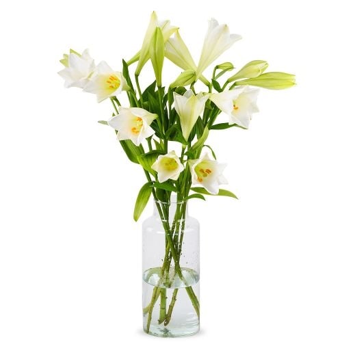 Lilies - White Heaven Lilies (Small)
