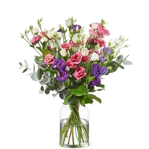 Purple and pink lisianthus (Small)