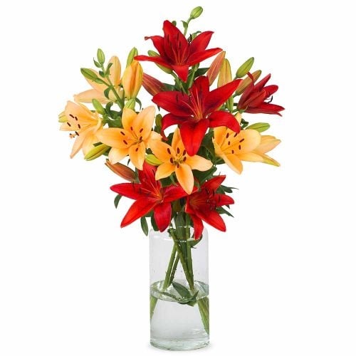 Lilies - Warm mix (Small)
