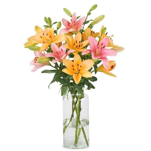 Lilies - Soft mix (Small)