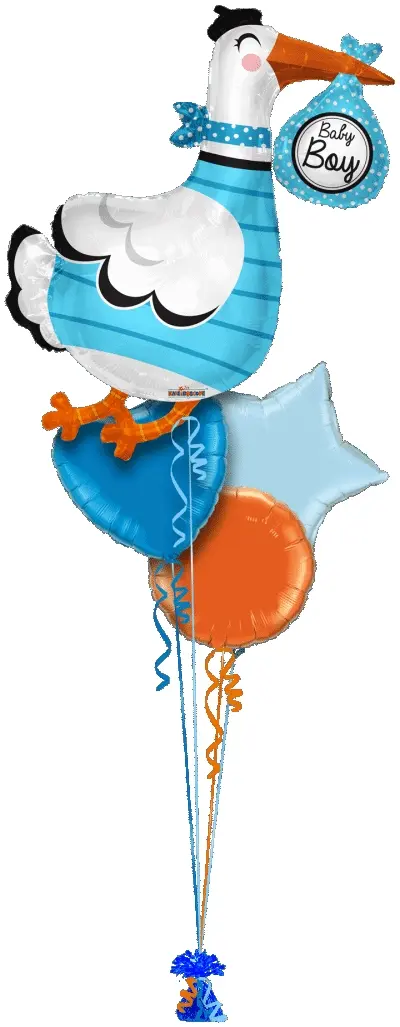 Baby Boy Stork Shape