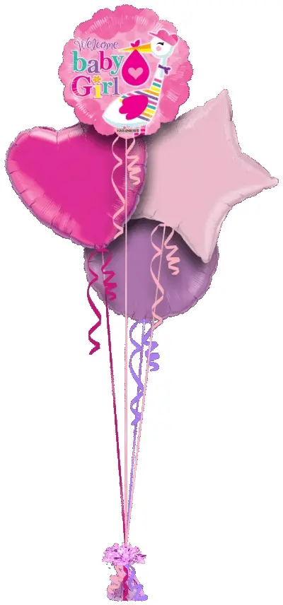Baby Girl Stork