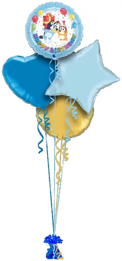 Bluey and Bingo Birthday