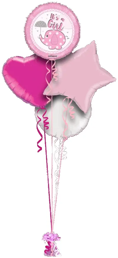 Its a Girl Elephant