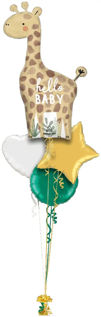 New Baby Giraffe