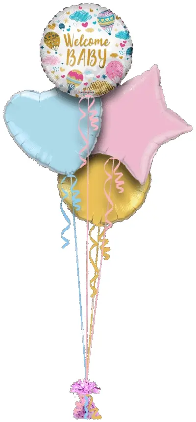 Welcome Baby Hot Air Balloons