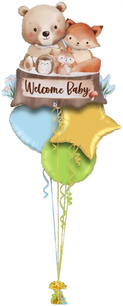 Welcome Baby Woodland Animals