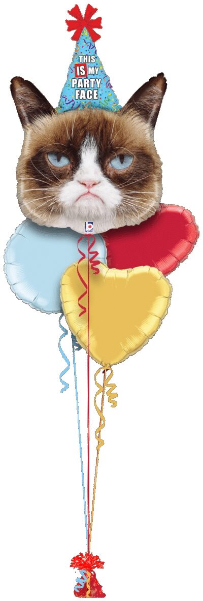 Grumpy Cat Party Face