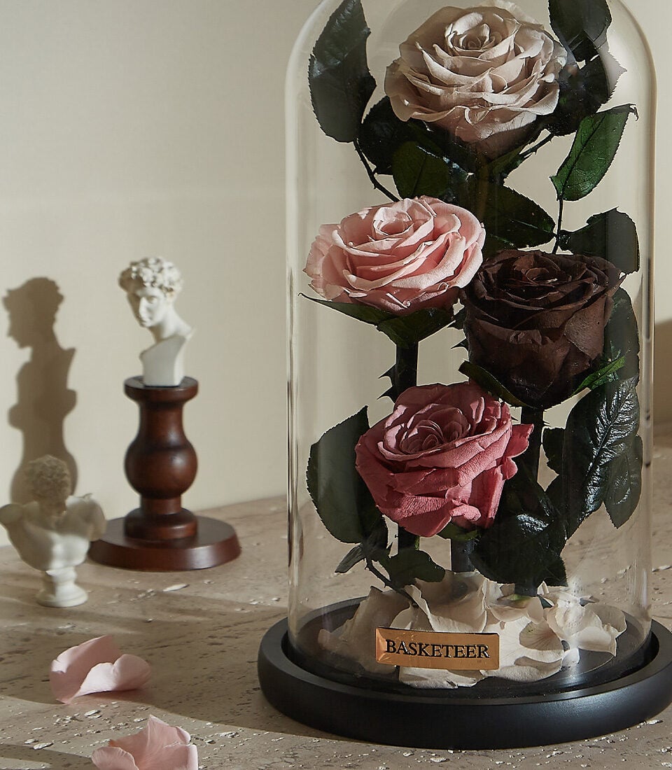 Enduring Love Preserved Roses Gift