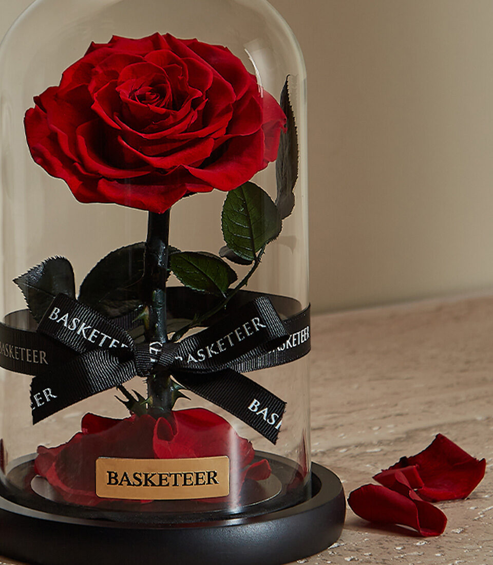 Preserved Red Rose in Glass Dome (S ( Size 23 cm ))