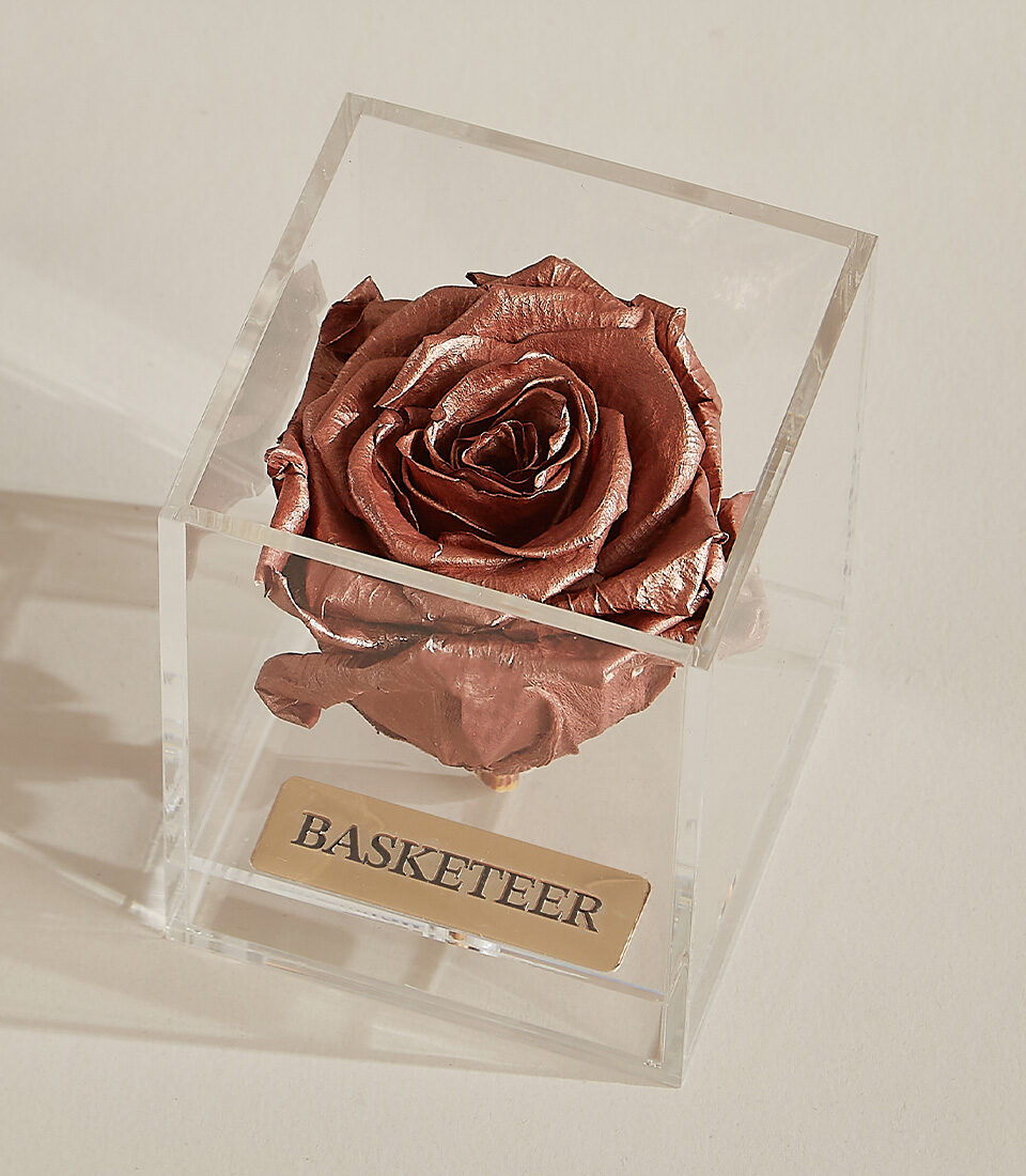 Timeless Luxe Preserved Rose Box