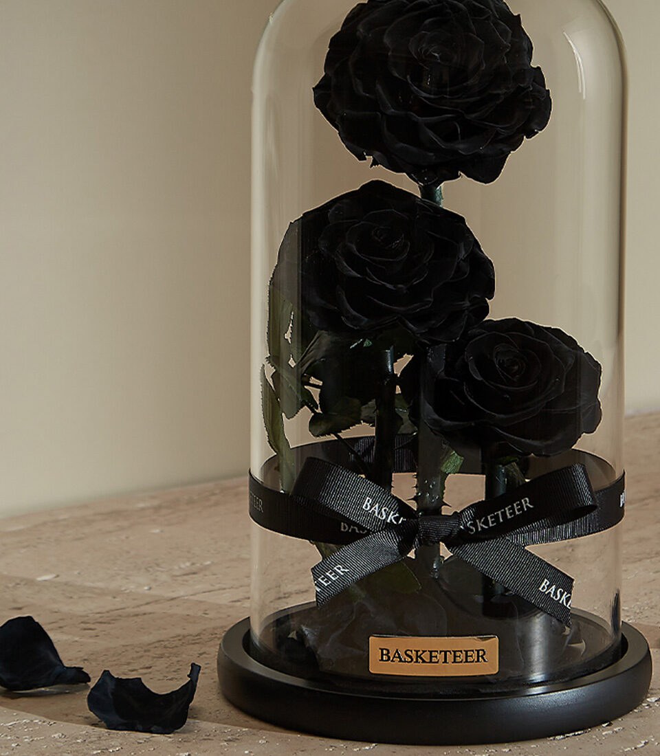 Mystical Black Rose with Glass Dome