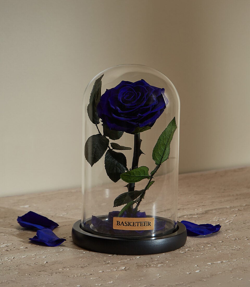 Royal Blue Preserved Roses in Glass Dome (S ( Size 23 cm ))