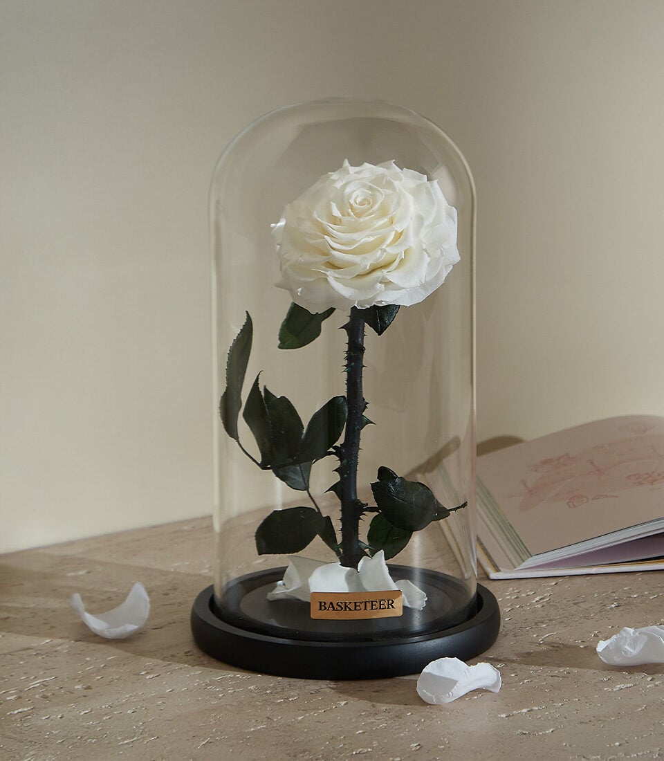 Eternal White Rose in Glass Dome (S ( Size 23 cm ))