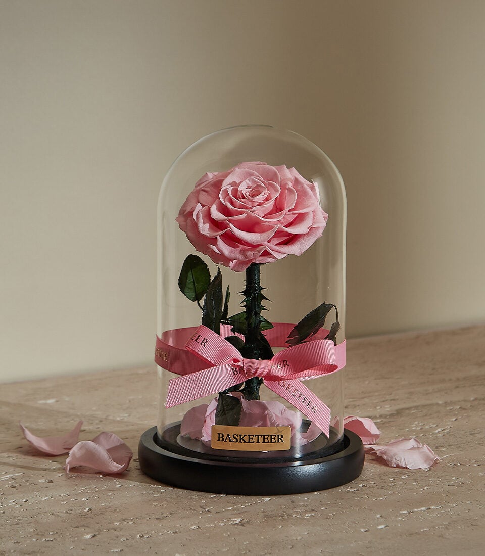 Preserved Pink Rose Forever Gift (S ( Size 23 cm ))