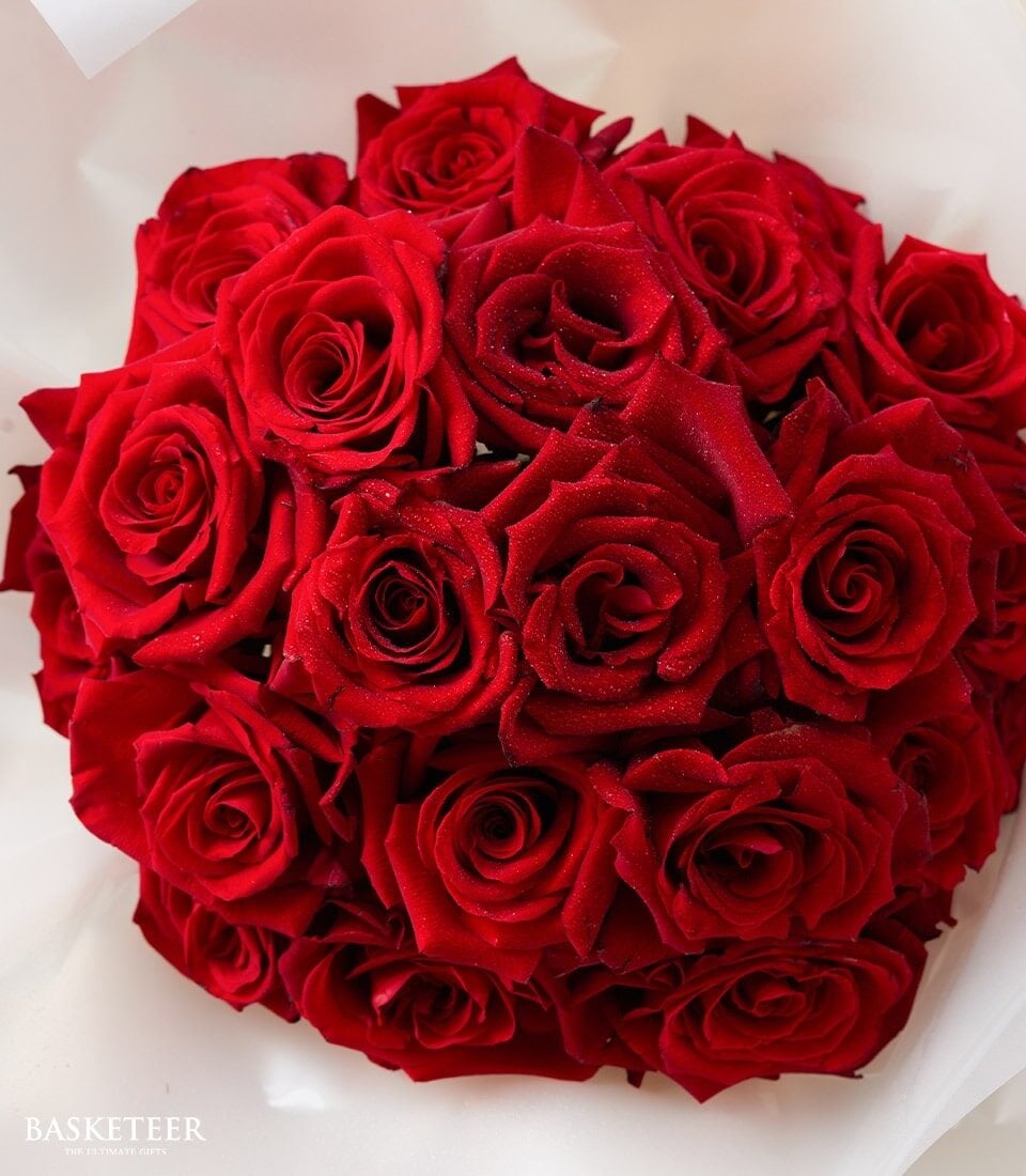 Scarlet Splendor Rose Bouquet (S ( 15 Stem of Maine Roses ))