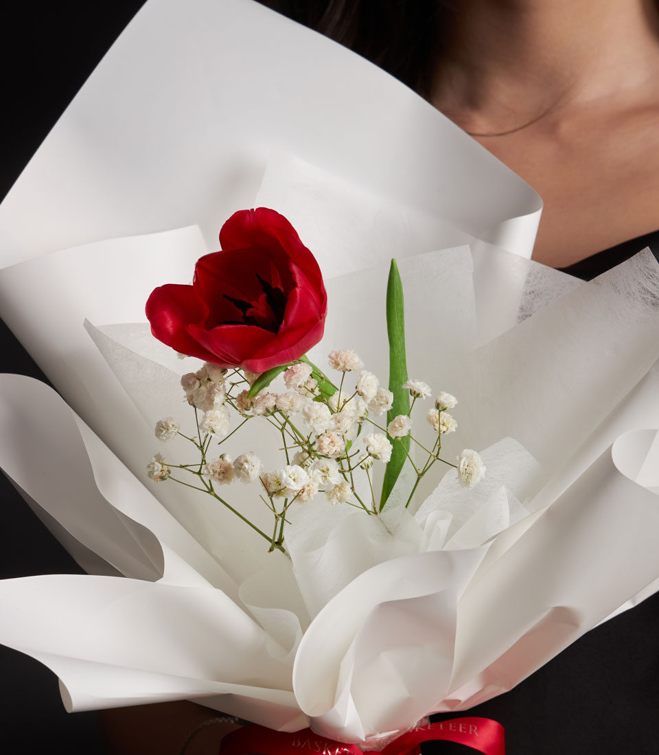 Premium Red Tulip Bouquet with Gypsophila