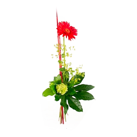 Send Bouquet Red Star As Blombud