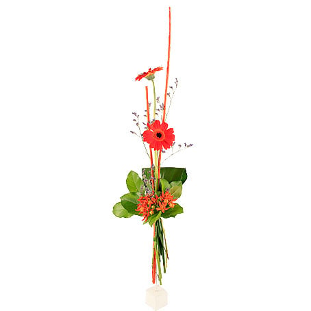 Send Bouquet Rio Blombud