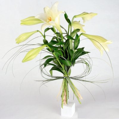 Send bouquet Lily blombud