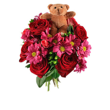 A captive love with a teddy bear (Standard)