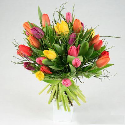 Send the bouquet of tulips in lots like flower buds