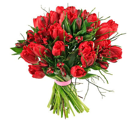 Love Tulips