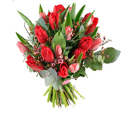Love Tulips