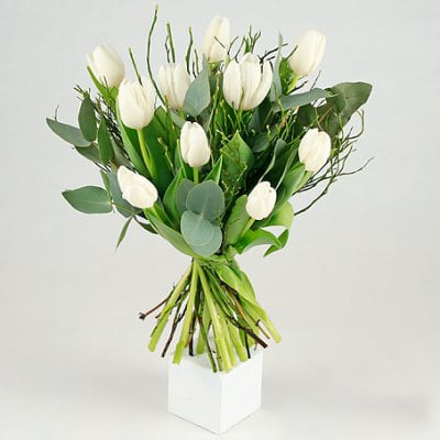 Send the bouquet of White Tulips to a flower bud