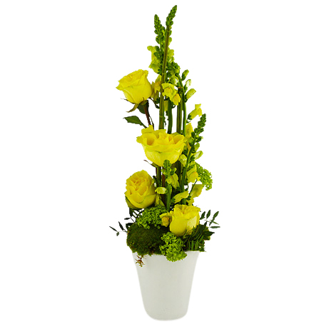 Send High decoration as flower delivery