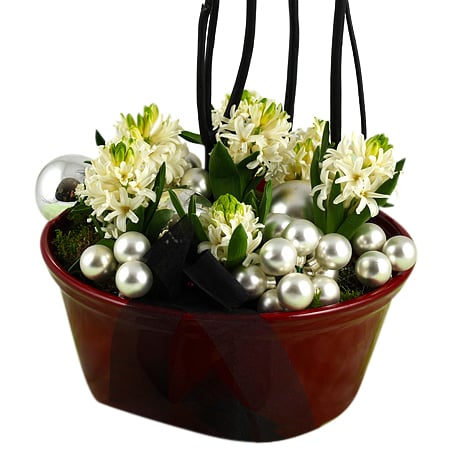 Sparkling hyacinths