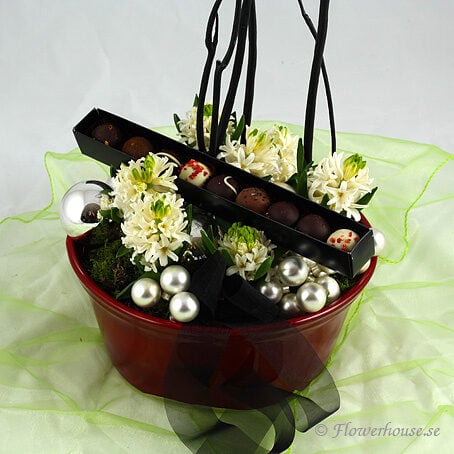 Sparkling hyacinths with chocolate
