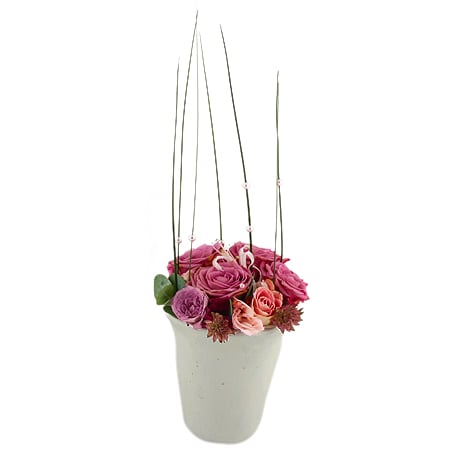 Send Cool Water As Blombud