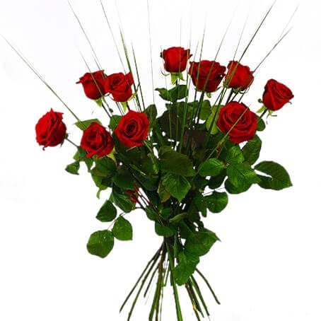 10 Red Roses