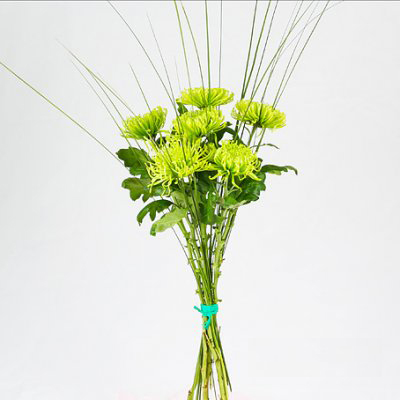 High bouquet of gran anastasia cross