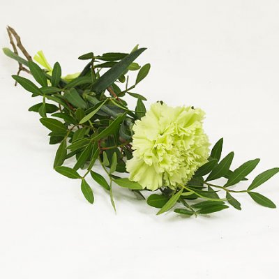 Funeral hand flower with a lime carnation, Grant