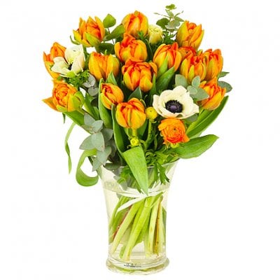 Send the bouquet Promising as a flower bud