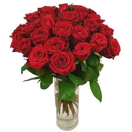 24 Red Roses