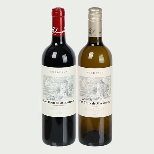 Chateau Tour de Mirambeau duo