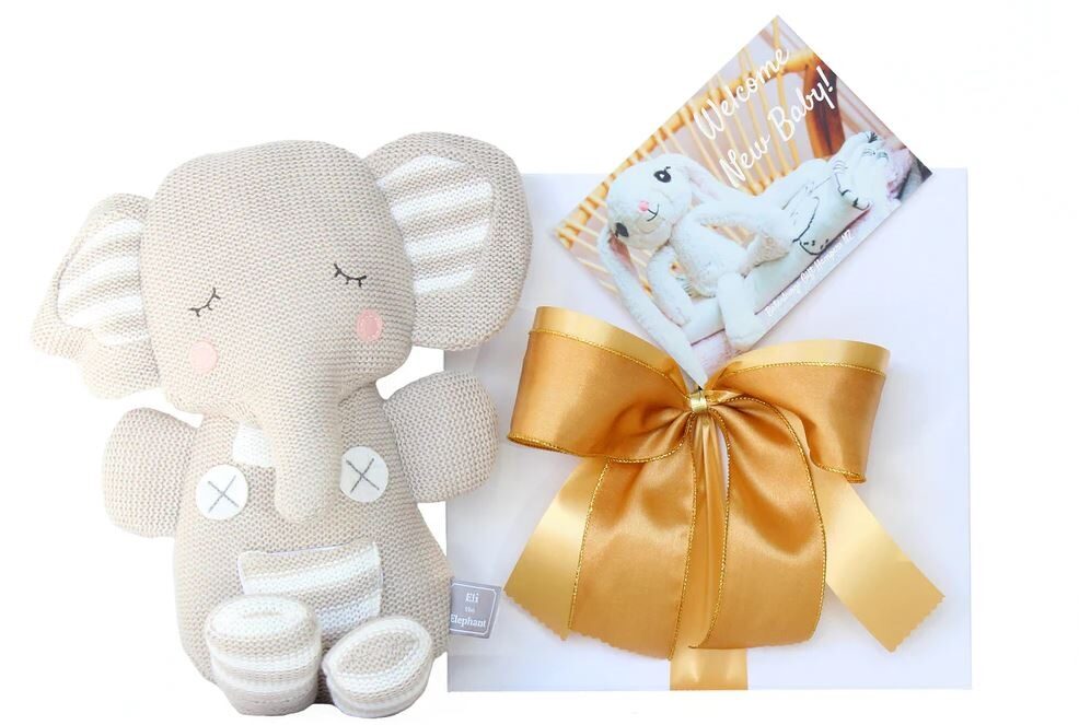 Baby's First Teddy