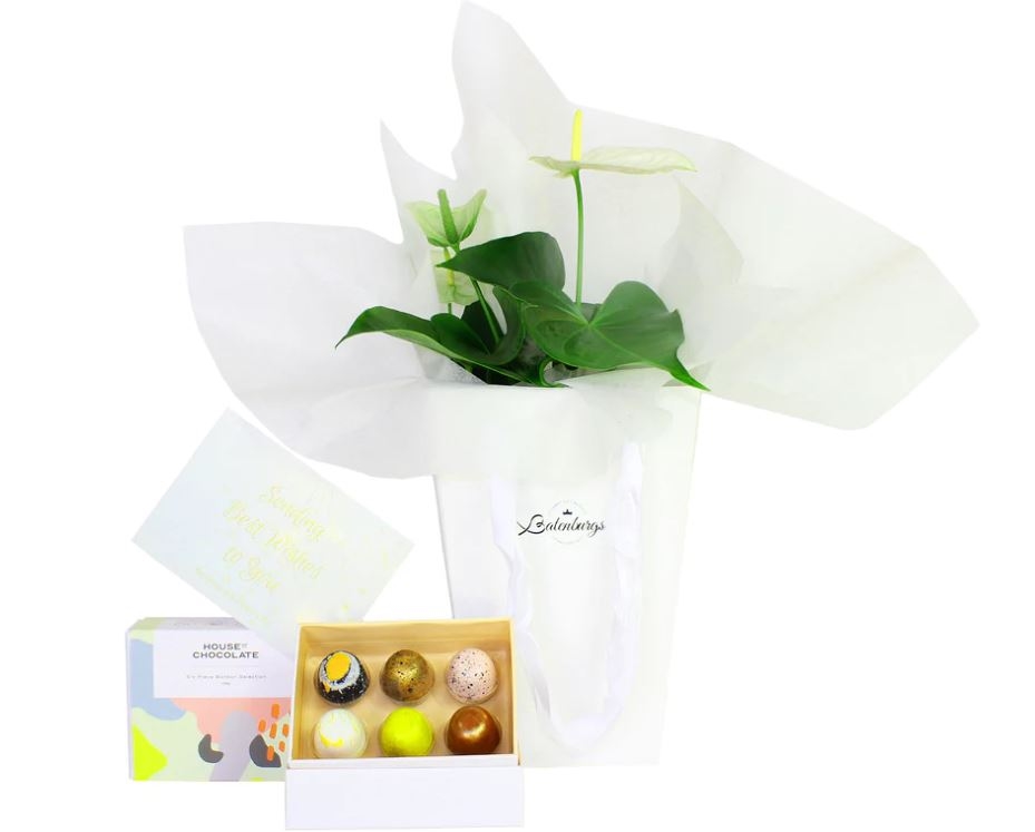 Beautiful Flowers And Chocolate Gift