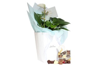 Luxurious Flowers and Chocolate for all Occasions