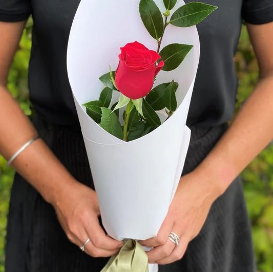 Single Red Rose