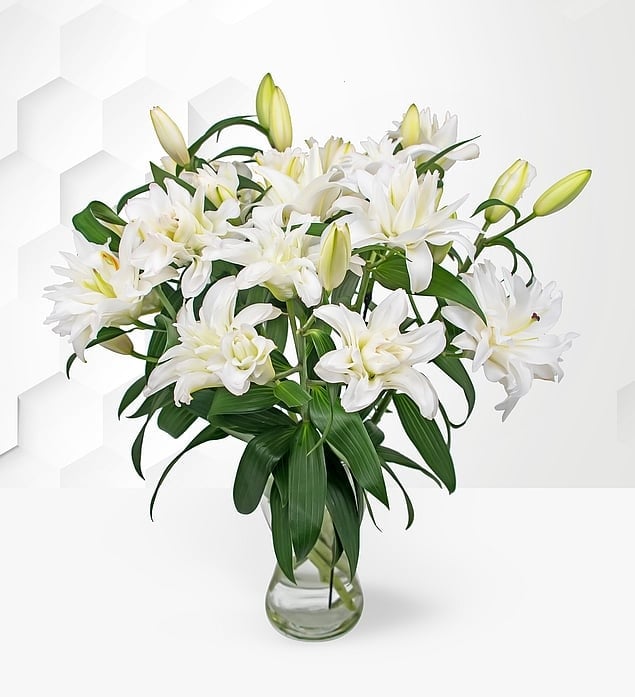 Double Flowering Lilies (Standard)