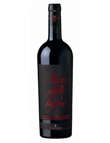 PIAN DELLE VIGNE, 2016